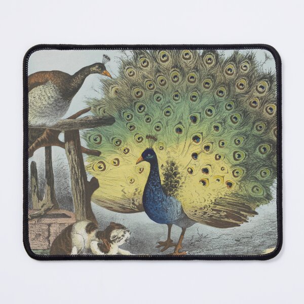 Item preview, Peacock designed and sold by felttipcat.