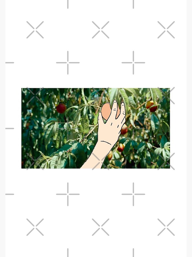 "CMBYN PEACH" Spiral Notebook by abitofintellect Redbubble