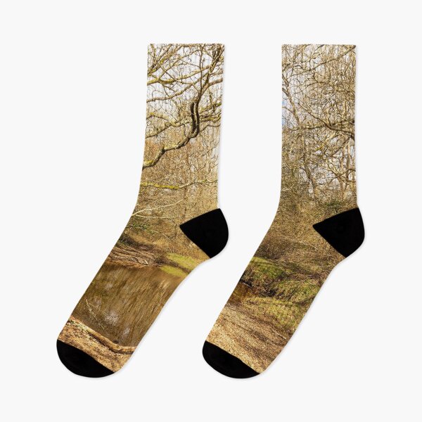 Item preview, New Forest Reflections designed and sold by HazyApplePhoto.