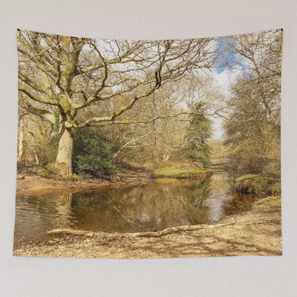 Item preview, New Forest Reflections designed and sold by HazyApplePhoto.