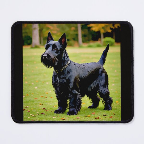 Item preview, Black Scottish Terrier#3 designed and sold by Helios Be. Lavsh.