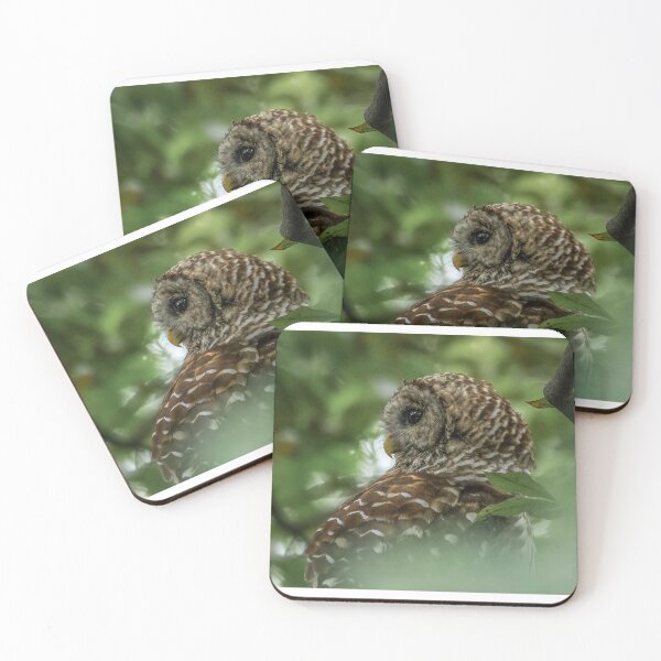 Item preview, Barred Owl designed and sold by tracyam.