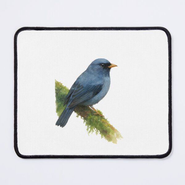 Item preview, Black-faced Solitaire (Myadestes melanops) designed and sold by HOMETOWN86.