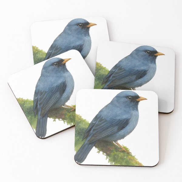 Item preview, Black-faced Solitaire (Myadestes melanops) designed and sold by HOMETOWN86.