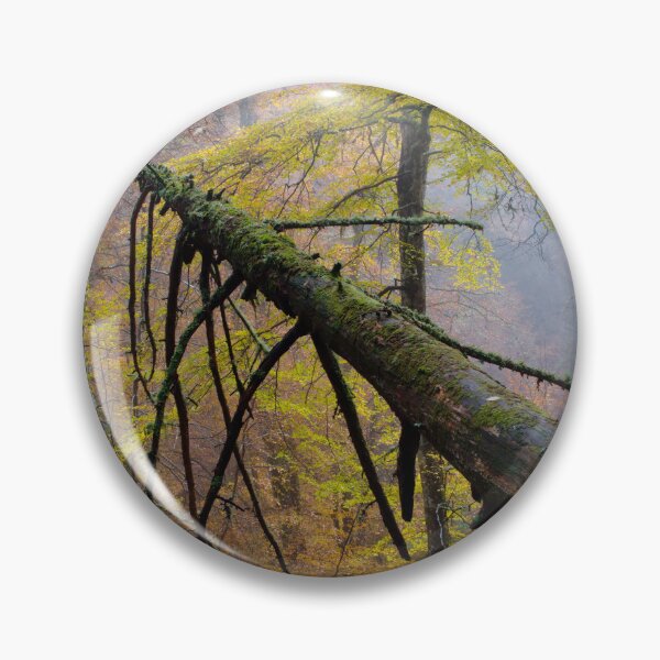Item preview, Autumn Mist Reelig Glen designed and sold by Macrae images.