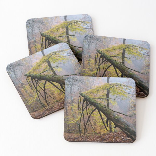 Item preview, Autumn Mist Reelig Glen designed and sold by Macrae images.