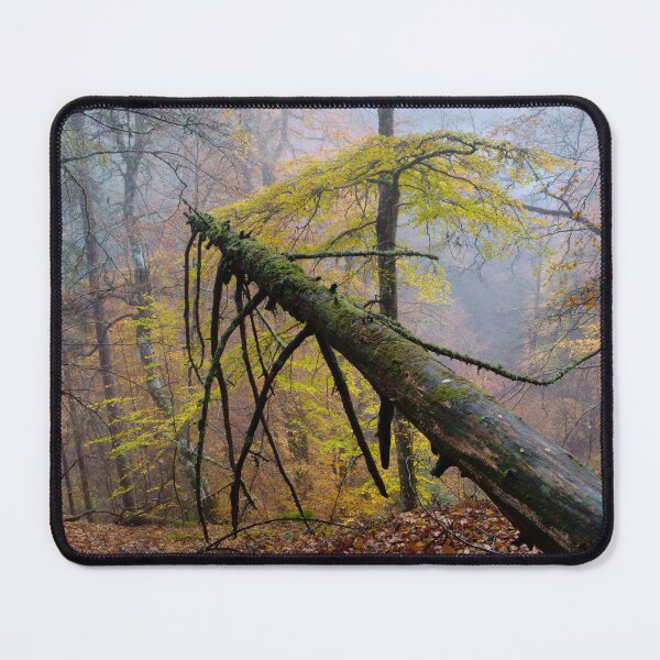 Item preview, Autumn Mist Reelig Glen designed and sold by Macrae images.