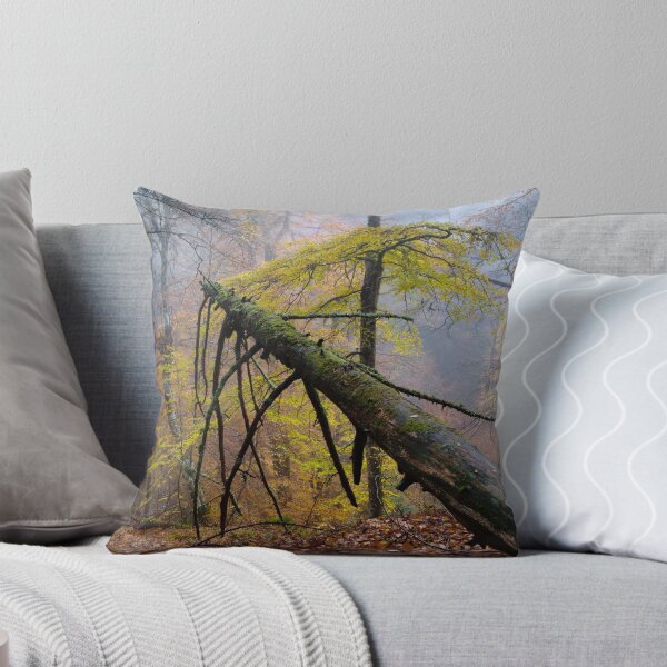 Item preview, Autumn Mist Reelig Glen designed and sold by Macrae images.