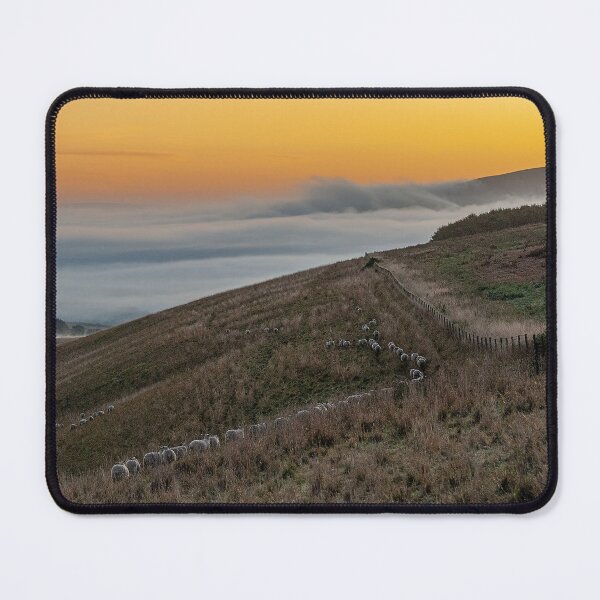 Item preview, Follow Like Sheep designed and sold by HazyApplePhoto.