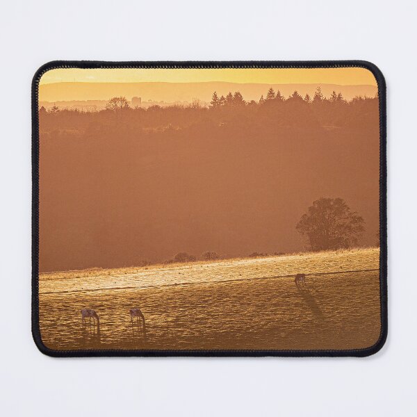 Item preview, Downland Glow designed and sold by HazyApplePhoto.
