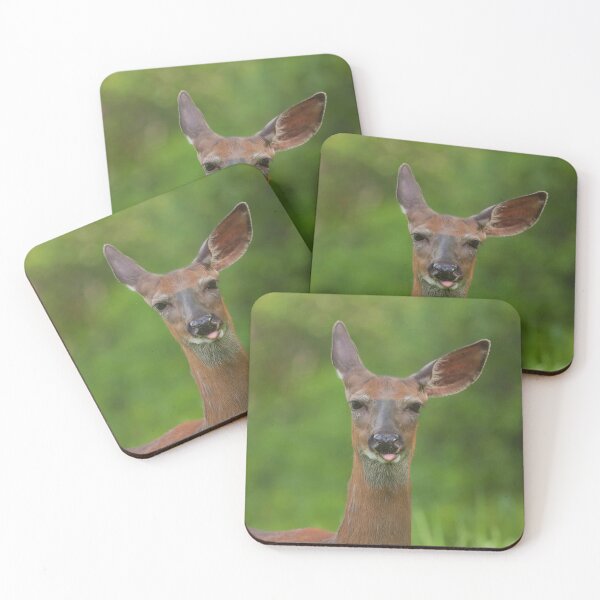 Item preview, A whitetail deer making a face designed and sold by Production Art Manon Meilleur.