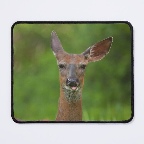 Item preview, A whitetail deer making a face designed and sold by Production Art Manon Meilleur.