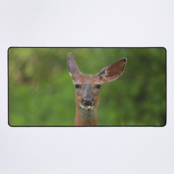 Item preview, A whitetail deer making a face designed and sold by Production Art Manon Meilleur.