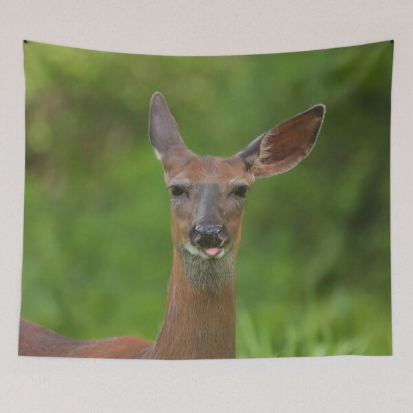 Item preview, A whitetail deer making a face designed and sold by Production Art Manon Meilleur.