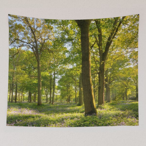 Item preview, Dappled Greens (and blues) designed and sold by HazyApplePhoto.