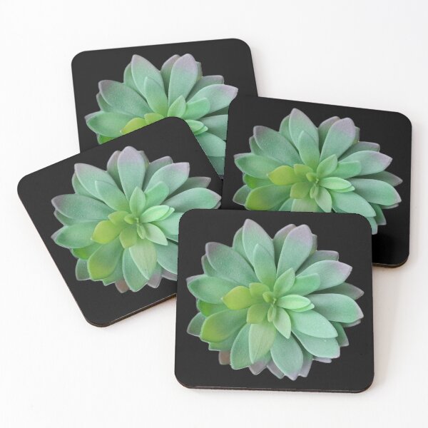 Item preview, Succulent  designed and sold by KajalGulgulia.