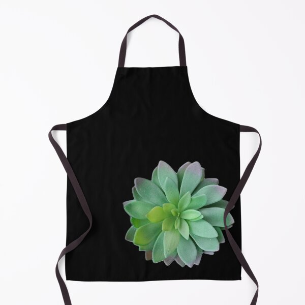 Item preview, Succulent  designed and sold by KajalGulgulia.