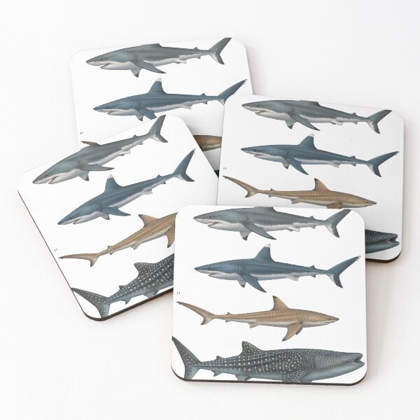 Item preview, Sharks In A Row Ocean Creatures Kids Toddler, Great White, Nurse Shark, Tiger Shark Under The Sea, Natural Boho Toddler designed and sold by DesignDenDo ⭐⭐⭐⭐⭐.