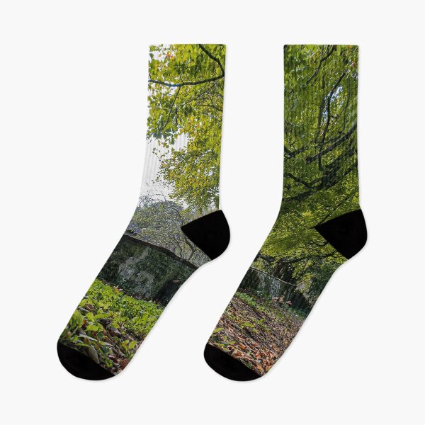Item preview, Canopy over the Trail designed and sold by HazyApplePhoto.