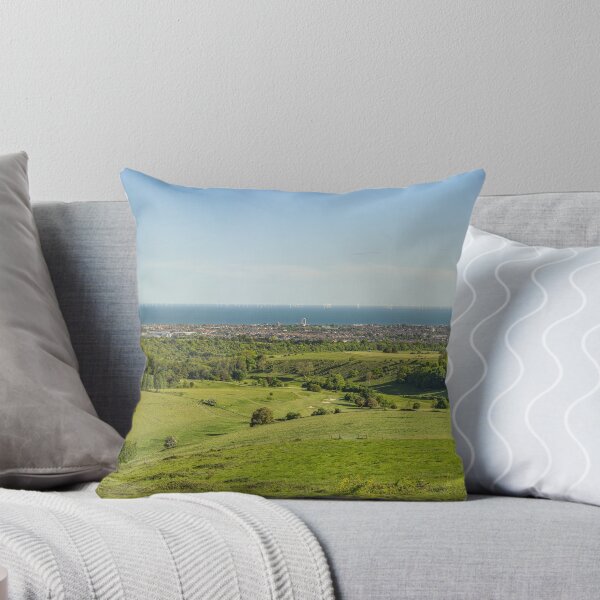 Item preview, Ancient to Modern designed and sold by HazyApplePhoto.