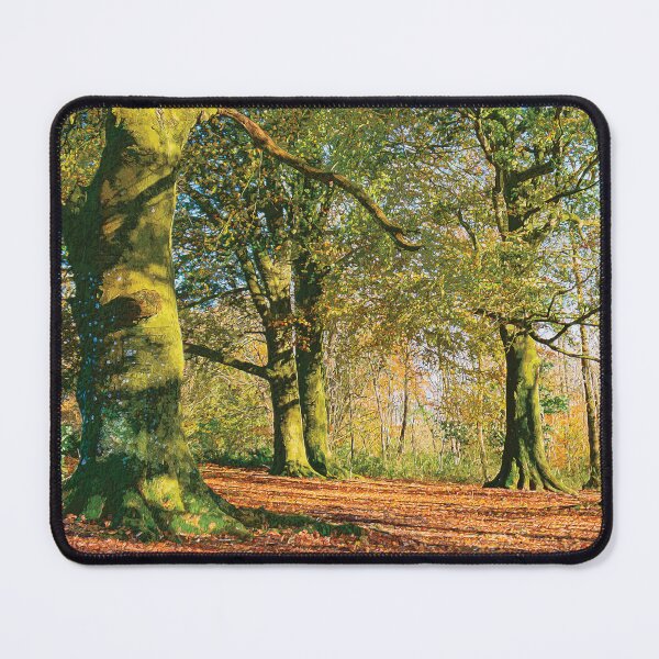 Item preview, Autumn Light designed and sold by HazyApplePhoto.