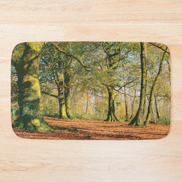 Item preview, Autumn Light designed and sold by HazyApplePhoto.