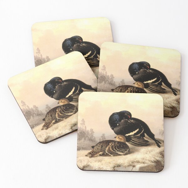 Item preview, Black grouse, cock and hen, 1869, by Ferdinand von Wright designed and sold by AngyDesigns49.