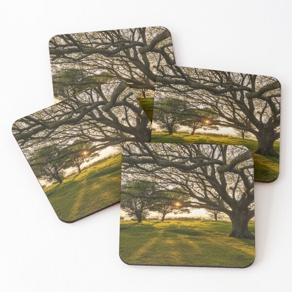 Item preview, Cissbury Spring Green designed and sold by HazyApplePhoto.