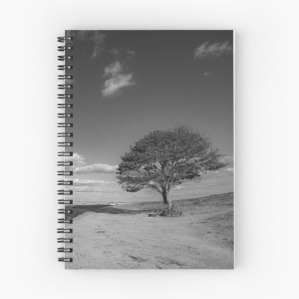 Item preview, Rampart View designed and sold by HazyApplePhoto.