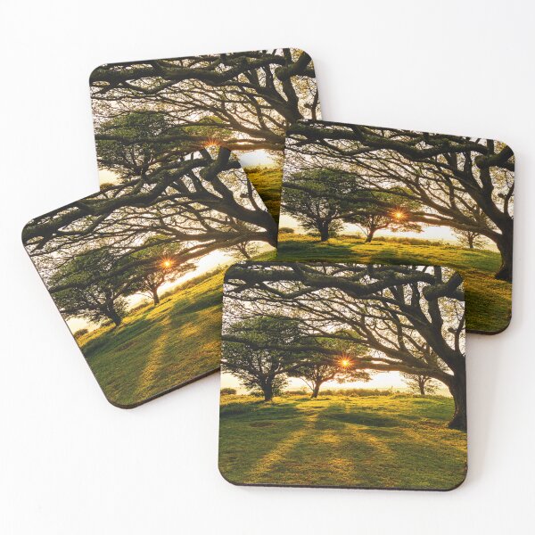 Item preview, Spring Evening Sun designed and sold by HazyApplePhoto.