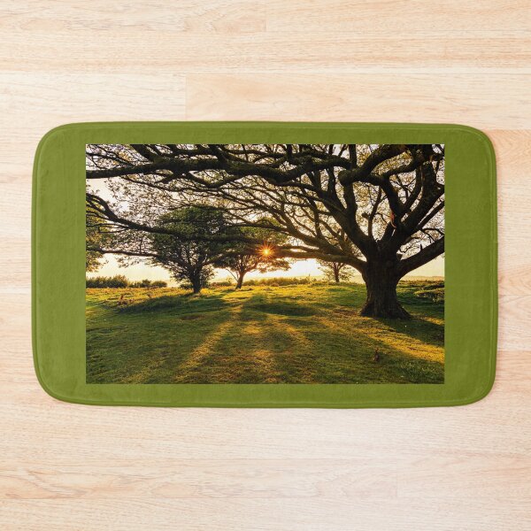 Item preview, Spring Evening Sun designed and sold by HazyApplePhoto.