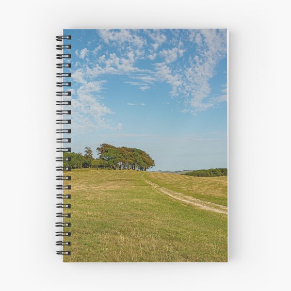 Item preview, South Downs Way to Chanctonbury designed and sold by HazyApplePhoto.