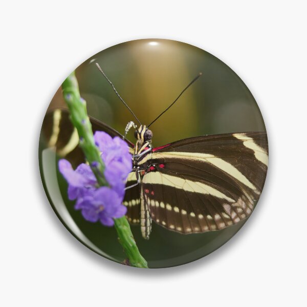 Item preview, Zebra Longwing Butterfly designed and sold by Jouko Lehto Photography.