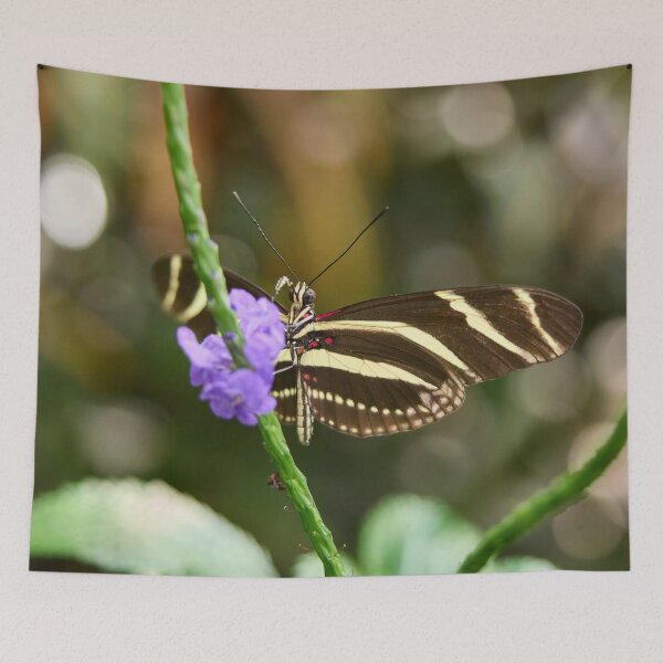 Item preview, Zebra Longwing Butterfly designed and sold by Jouko Lehto Photography.