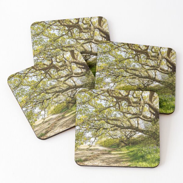 Item preview, Shoreline Path designed and sold by HazyApplePhoto.