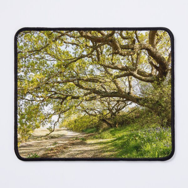 Item preview, Shoreline Path designed and sold by HazyApplePhoto.