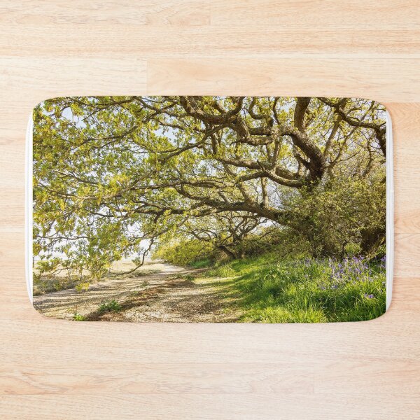Item preview, Shoreline Path designed and sold by HazyApplePhoto.