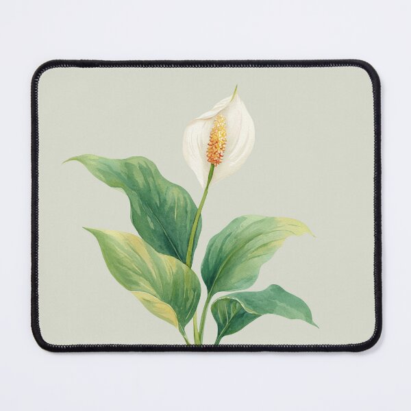 Item preview, Watercolor Closeup of a Peace Lily Flower designed and sold by Violet Peonies.