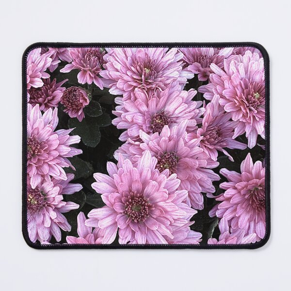 Item preview, Pink Chrysanthemum Photograph designed and sold by ABeasEyeView.