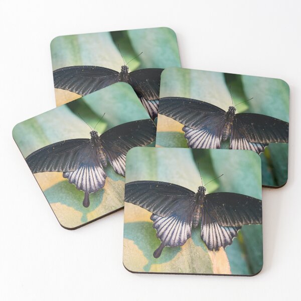 Item preview, Great Mormon Papilio Memnon designed and sold by Jouko Lehto Photography.