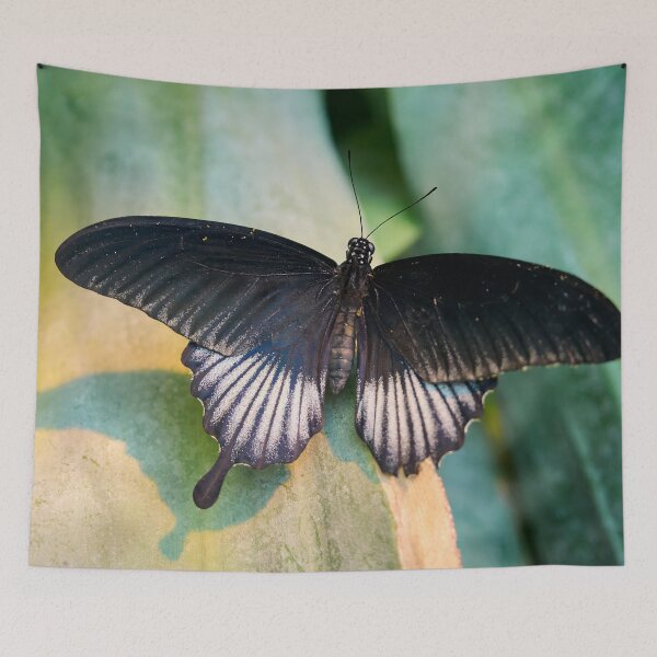 Item preview, Great Mormon Papilio Memnon designed and sold by Jouko Lehto Photography.