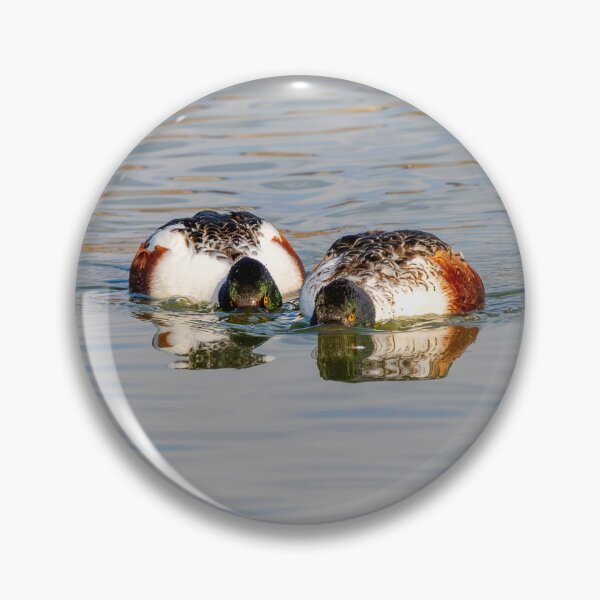 Item preview, Two Shovelers Dabbling designed and sold by DawsonImages.