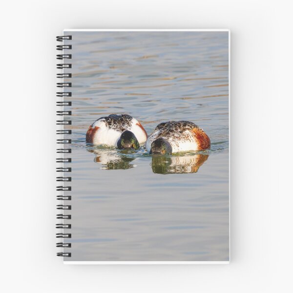 Item preview, Two Shovelers Dabbling designed and sold by DawsonImages.