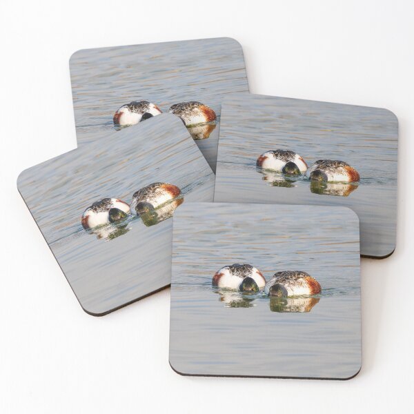 Item preview, Two Shovelers Dabbling designed and sold by DawsonImages.