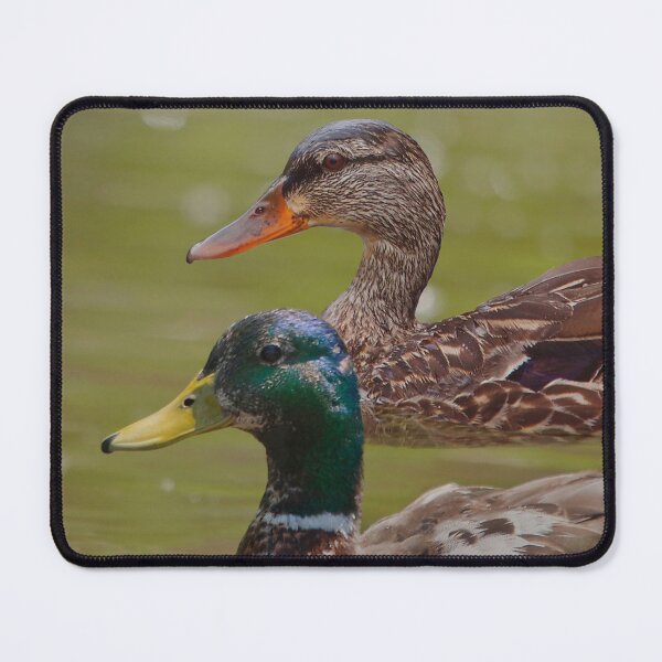 Item preview, A pair of mallards on the water designed and sold by Production Art Manon Meilleur.