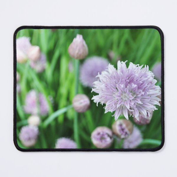Item preview, Purple Wild Chives Photograph designed and sold by ABeasEyeView.