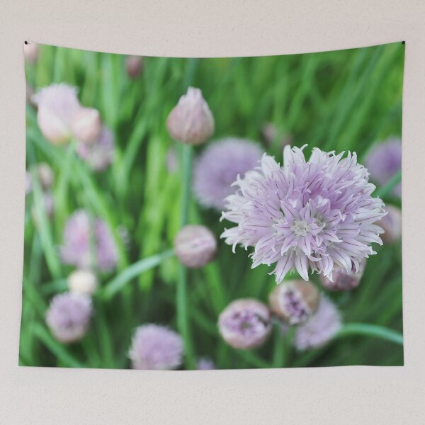 Item preview, Purple Wild Chives Photograph designed and sold by ABeasEyeView.