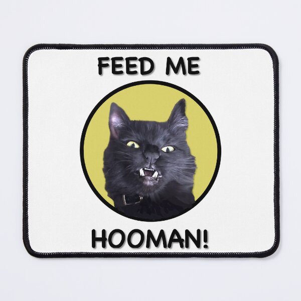 Item preview, Feed Me Hooman Funny Cat Photograph designed and sold by ABeasEyeView.