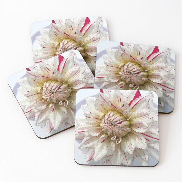 Item preview, Dahlia Romantic designed and sold by birgitsfotoshop.