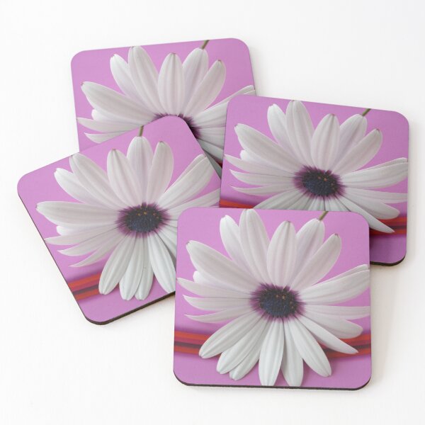 Item preview, Cape daisy designed and sold by birgitsfotoshop.